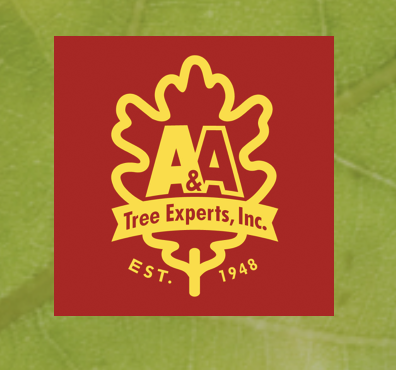 A&A Tree Experts